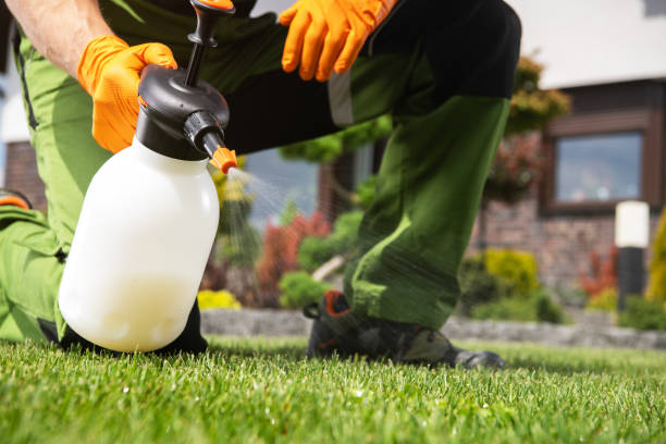 Best Pest Control for Restaurants  in Acushnet Center, MA